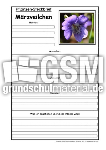 Pflanzensteckbrief-Märzveilchen.pdf